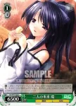 DC/W23-046 C 二人の未来 環