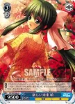 DC/W23-089 C 帰ってきたＳＳＰ 麻耶