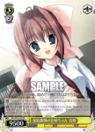 DC/W23-100 CC 大切なフルート