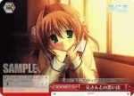 DC/W23-105 TD 兄さんとの思い出