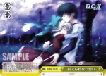 DC/W23-T11 TD 個人レッスン エリカ