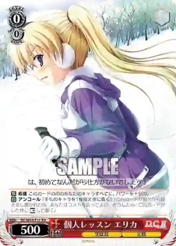 DC/W23-T11 TD 個人レッスン エリカ