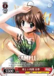 DC/W23-T13 TD 楽しい時間 音夢