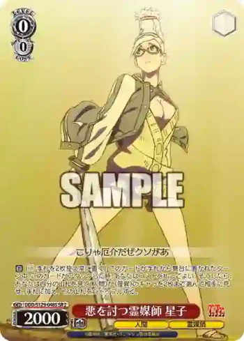 DDD/S129-048S SR 悪を討つ霊媒師 星子