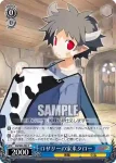 DG/S02-088 C 箱入りお嬢様ロザリンド