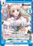 DJ/002B-089 RR 花園のフェアリー 胡桃