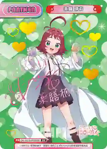 DK/001B-P005PP PP 薬膳 楠莉