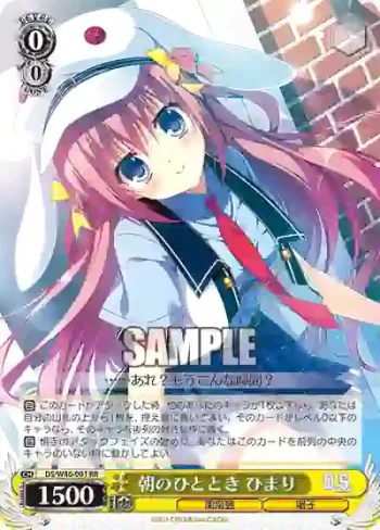 DS/W46-001 RR 朝のひととき ひまり