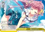 DS/W46-014R RRR 風のいたずら