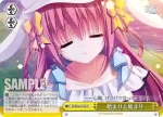 DS/W46-016 RR 完全無欠なお嬢様 遥月