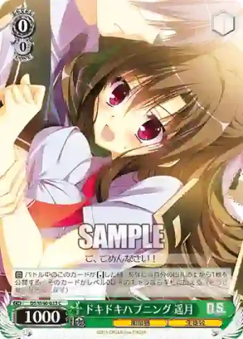 DS/W46-023 C ドキドキハプニング 遥月