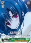 DS/W46-025 C 水着の遥月