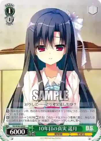 DS/W46-026 C 10年目の真実 遥月