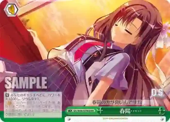 DS/W46-029R RRR 春陽……