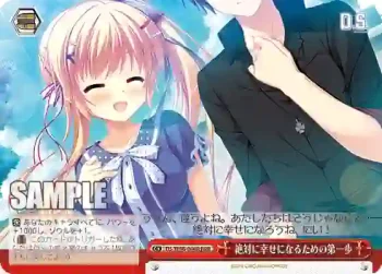DS/W46-046R RRR 絶対に幸せになるための第一歩