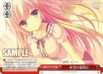 DS/W46-047a CC 本当の家族に