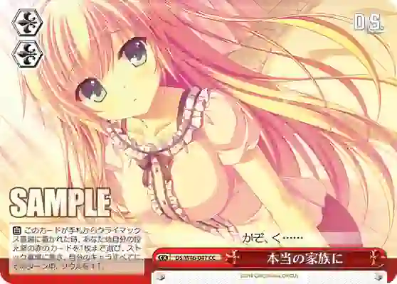 ds_w46_047 DS/W46-047 CC 本当の家族に