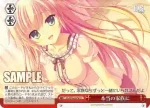 DS/W46-047a CC 本当の家族に