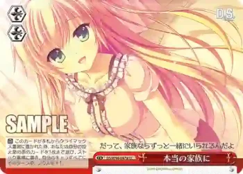 DS/W46-047a CC 本当の家族に