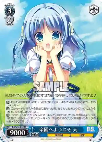 DS/W46-049 RR 楽園へようこそ 天