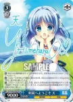 (簽名)DS/W46-049SP SP 楽園へようこそ 天