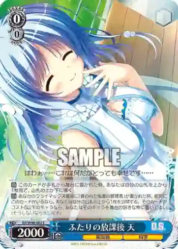 DS/W46-062 C ふたりの放課後 天