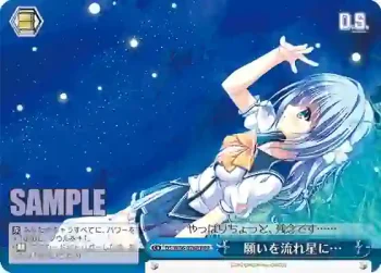 DS/W46-076R RRR 願いを流れ星に…