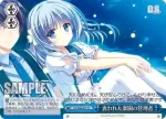 DS/W46-076R RRR 願いを流れ星に…