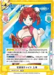 DW/001T-021 TDR 花蝶柄チャイナ 入華
