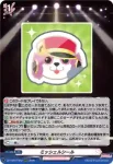 DZ-TBP01/041 響きつづける、私たちのバンド活動！