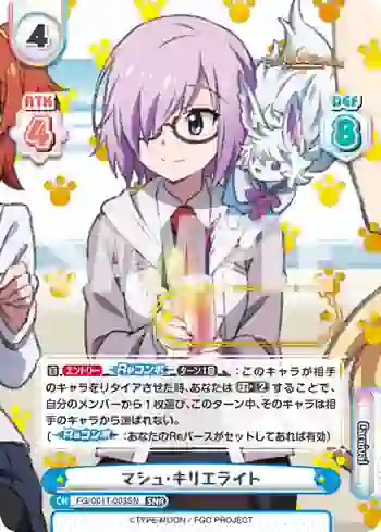 FG/001T-003SN SNR マシュ･キリエライト