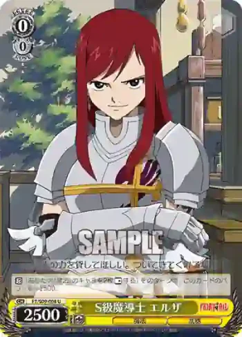 FT/S09-008 U S級魔導士 エルザ