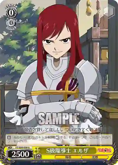 ft_s09_008 FT/S09-008 U S級魔導士 エルザ