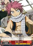 FT/S09-066 C ナツの相棒 ハッピー