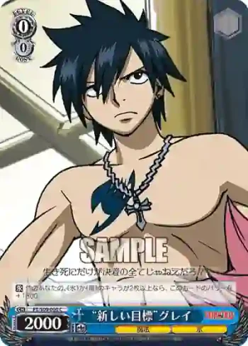 FT/S09-090 C “新しい目標”グレイ