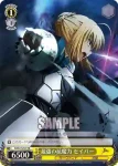 FZ/S17-101 TD 代理マスター アイリスフィール