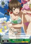 GC/S16-027 RR 桜満 集