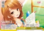 GF/W33-047 CR 自由研究