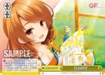 GF/W33-047 CR 自由研究