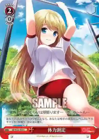 GF/W33-105 C 体力測定