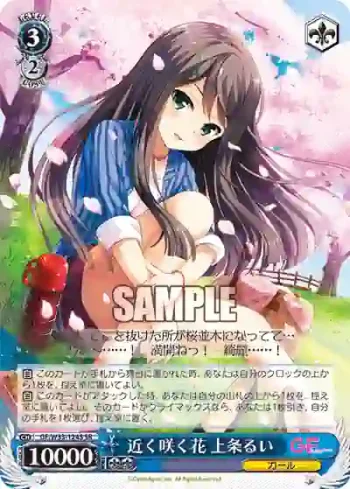 GF/W33-124S SR 近く咲く花 上条るい