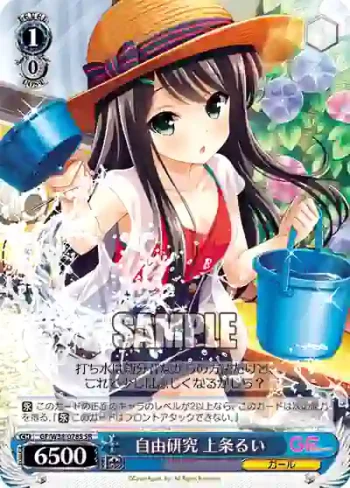 GF/W38-078S SR 自由研究 上条るい