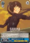 GGO/S59-093 C 激昂するピトフーイ