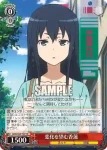 GGO/S59-T03 TD “相棒”レン＆フカ次郎