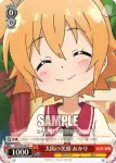 GT/W29-064 C ドジっ娘 あかり