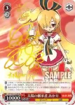 GT/W29-104 TD マッド・サイエンティスト 天道三姉妹