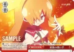 GT/W29-T06 TD まっすぐな心 あかり