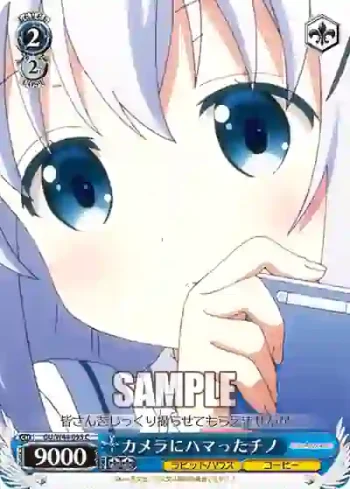 GU/W44-095 C カメラにハマったチノ