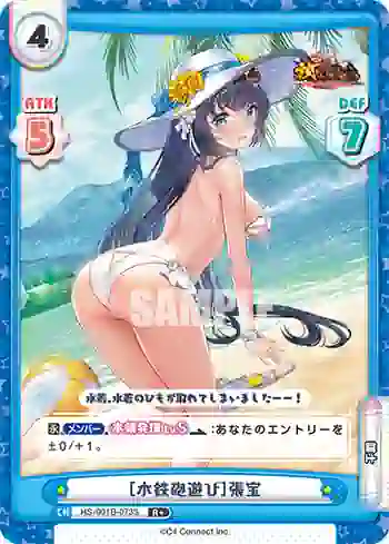 HS/001B-073S R+ ［水鉄砲遊び］張宝