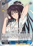 ID/W10-086 U 禁書目録を司るインデックス